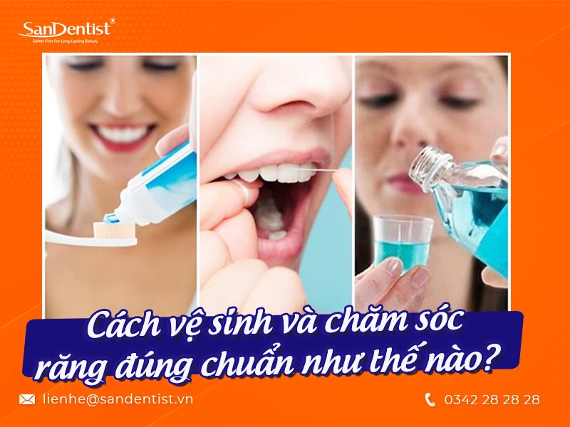 Hàm trên có bao nhiêu răng và cách chăm sóc răng như thế nào cho đúng cách?