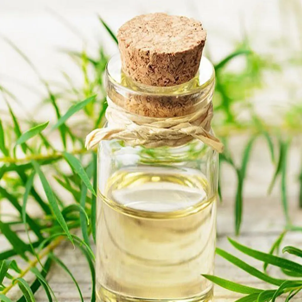 6 cách điều trị bệnh viêm lợi đơn giản tại nhà