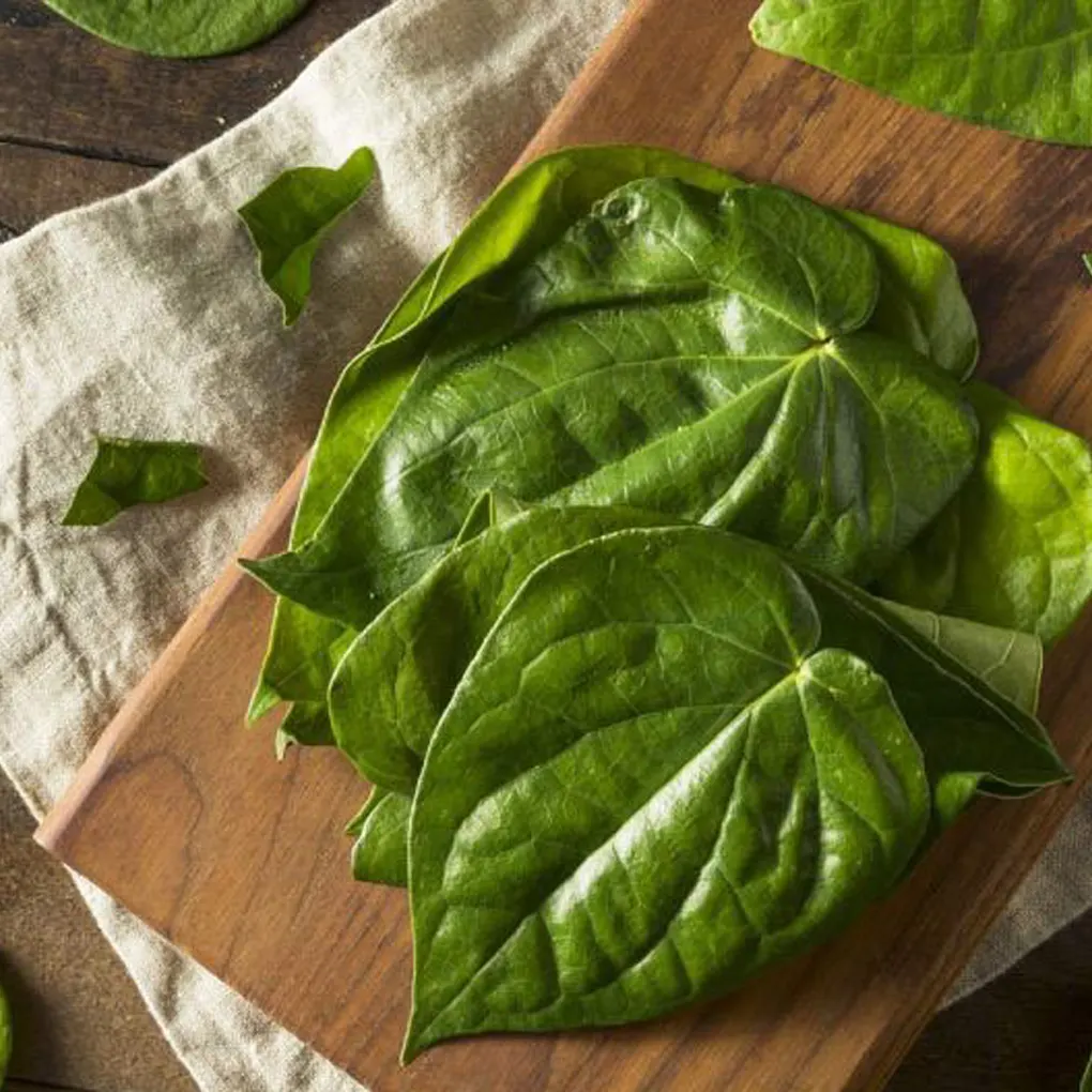 Cách điều trị sâu răng tại nhà từ thiên nhiên