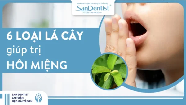 Lợi ích của việc dùng lá cây trong chăm sóc răng miệng