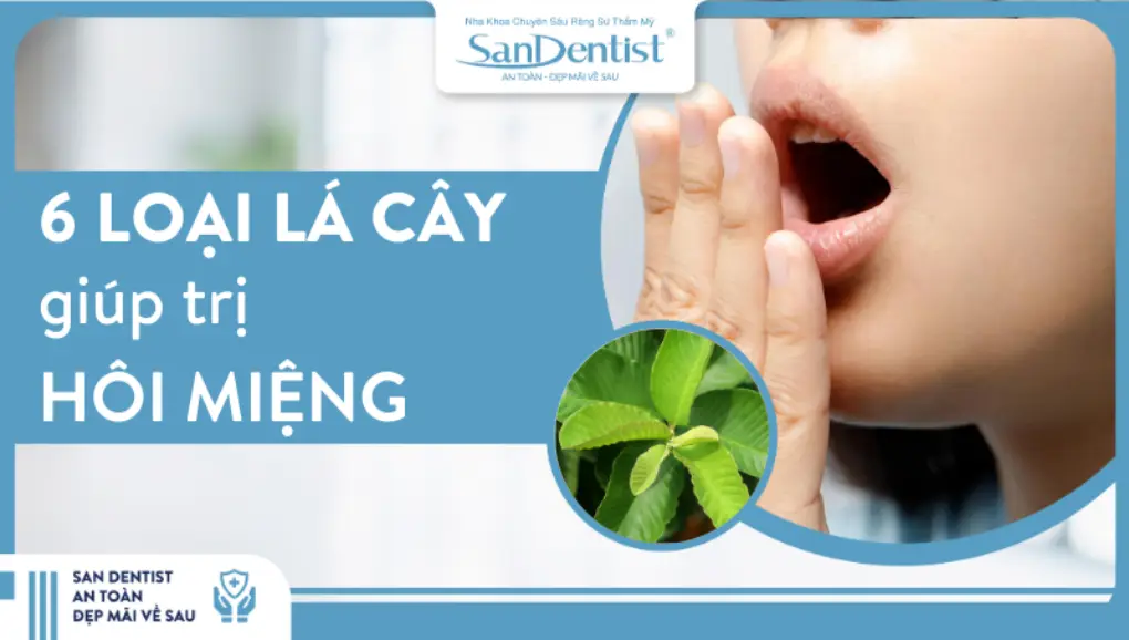 6 loại lá cây giúp trị hôi miệng an toàn và dễ tìm